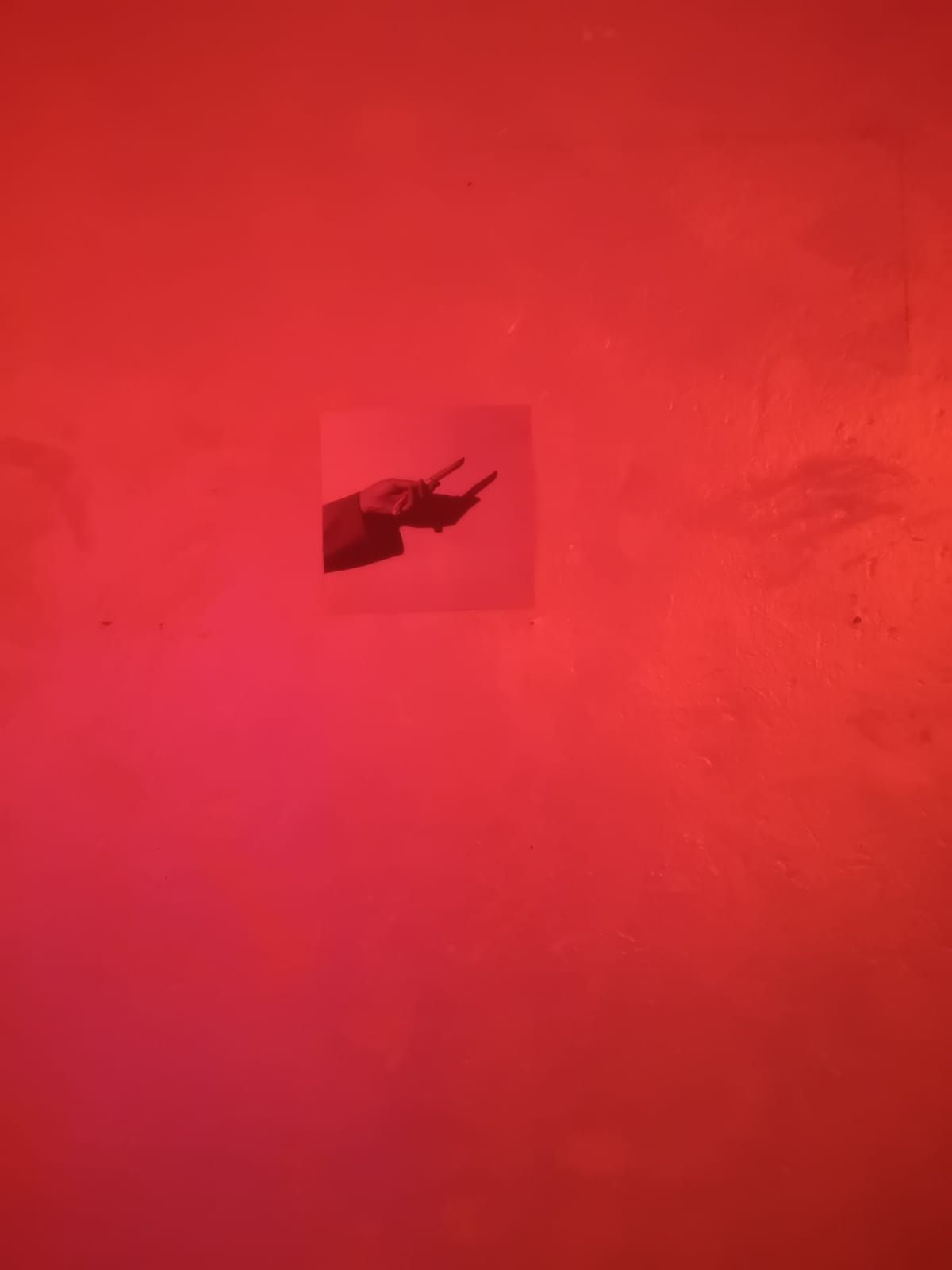 Image Two