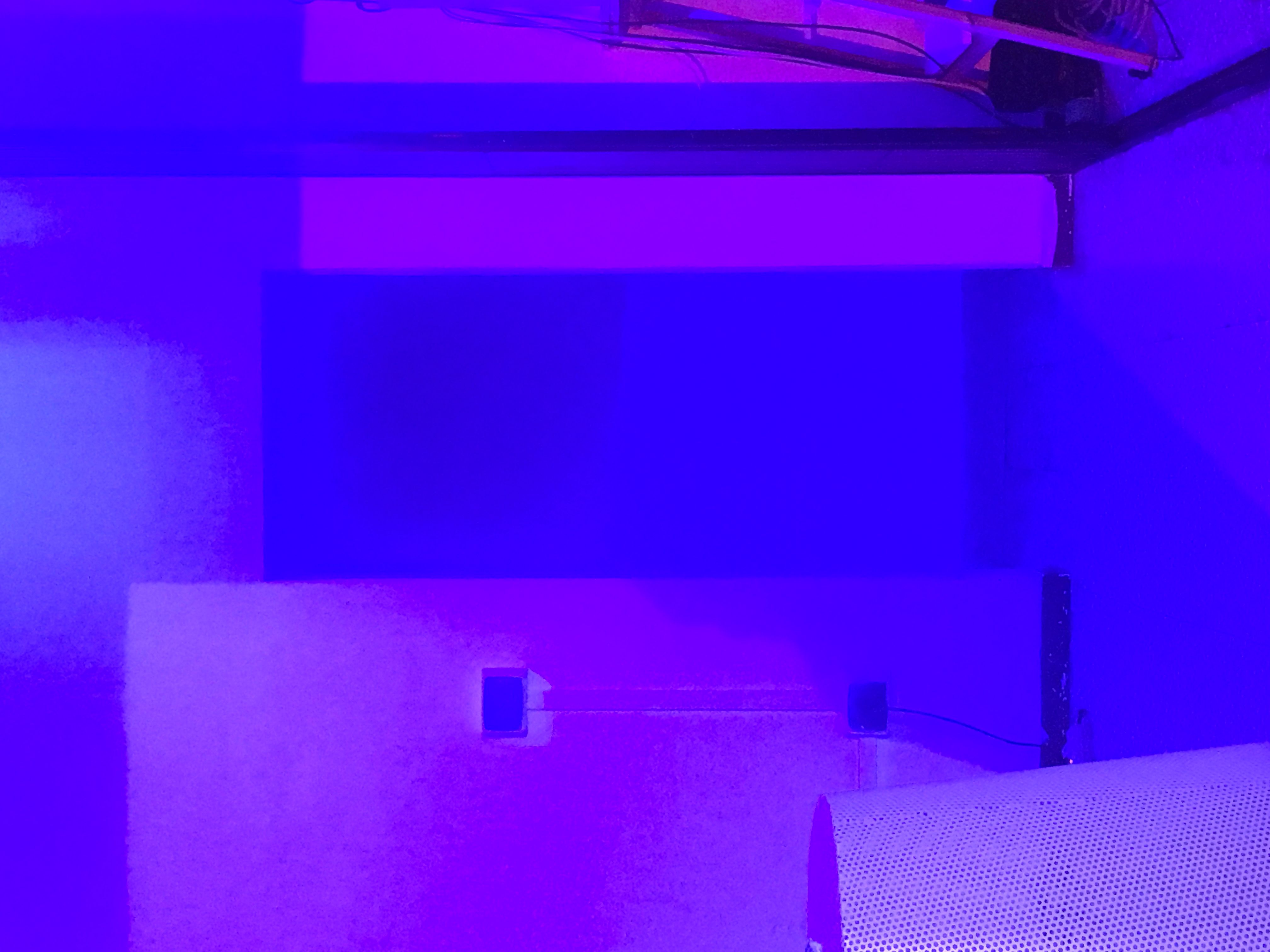 Image Three